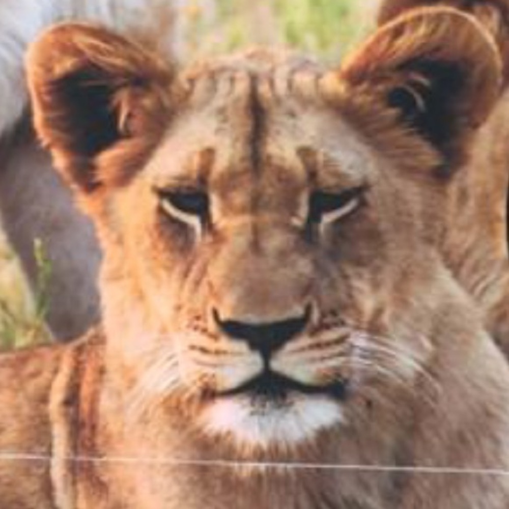 Meet your Posher, Carmen